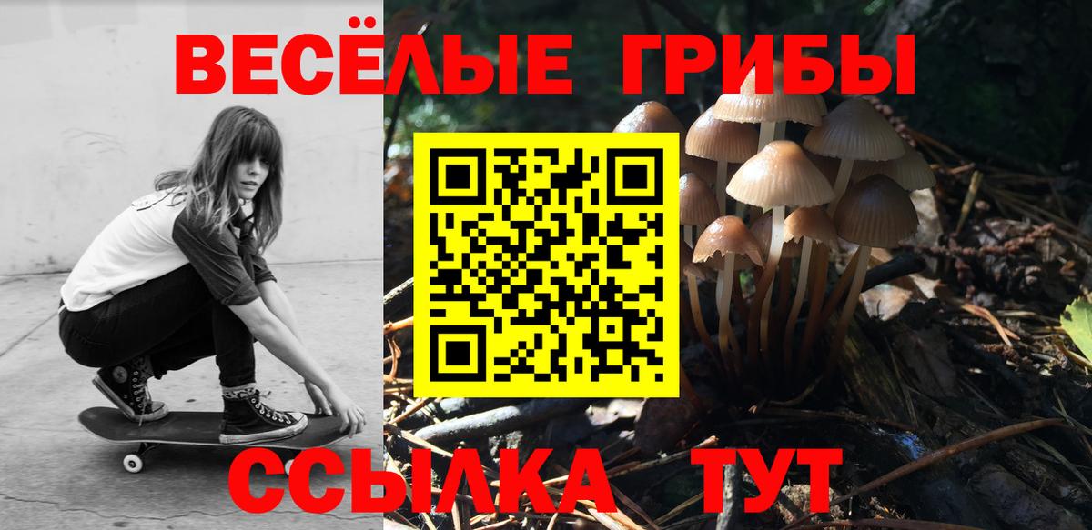 Псилоцибиновые грибы GOLDEN TEACHER  закладка  Пенза  Вход с VPN  Псилоцибиновые грибы ЛСД 